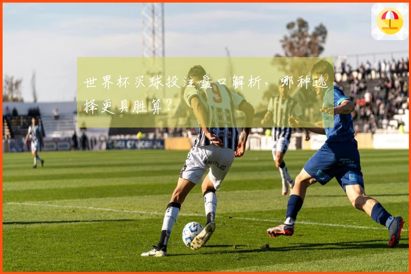 世界杯买球投注盘口解析，哪种选择更具胜算？