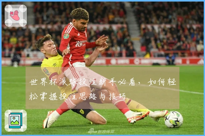 世界杯滚球投注新手必看，如何轻松掌握投注思路与技巧