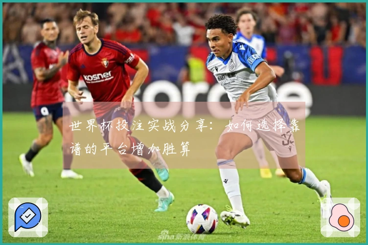 世界杯投注实战分享：如何选择靠谱的平台增加胜算