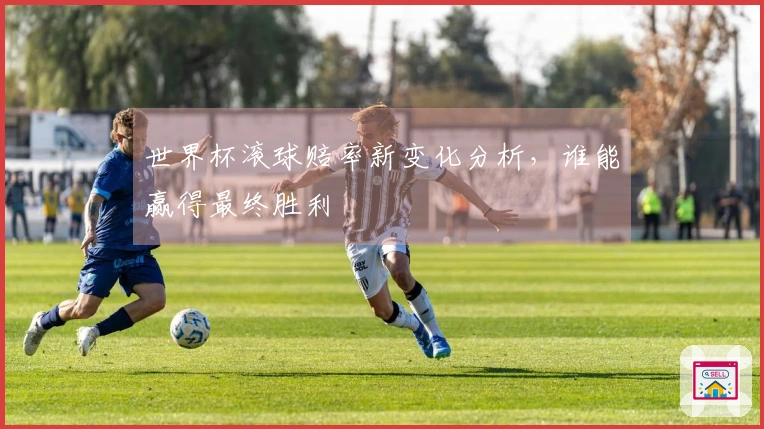 世界杯滚球赔率新变化分析，谁能赢得最终胜利