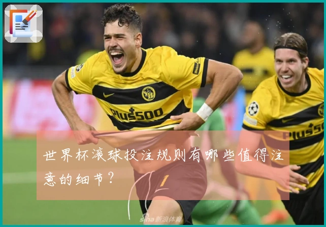 世界杯滚球投注规则有哪些值得注意的细节？