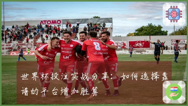 世界杯投注实战分享：如何选择靠谱的平台增加胜算