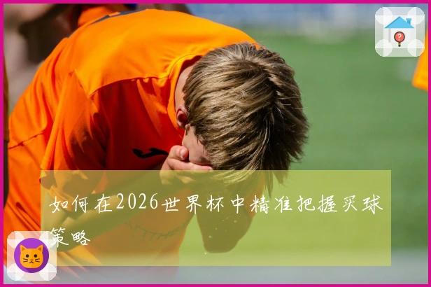 如何在2026世界杯中精准把握买球策略