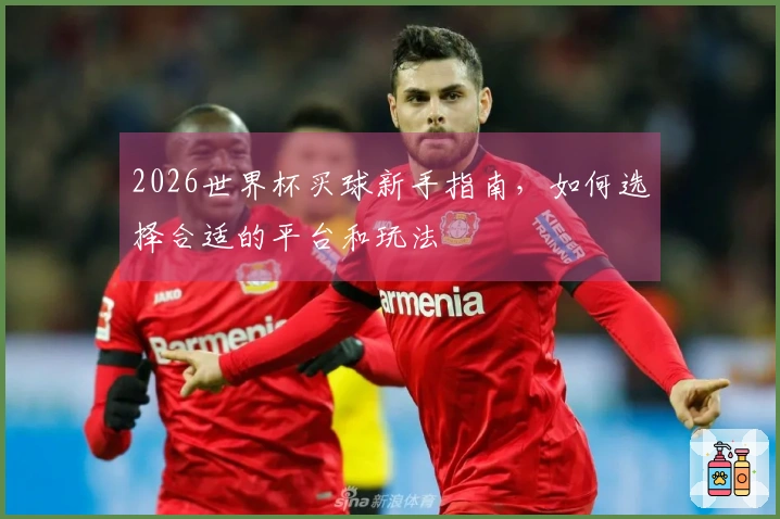 2026世界杯买球新手指南，如何选择合适的平台和玩法
