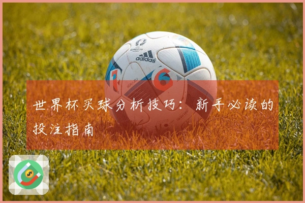 世界杯买球分析技巧：新手必读的投注指南
